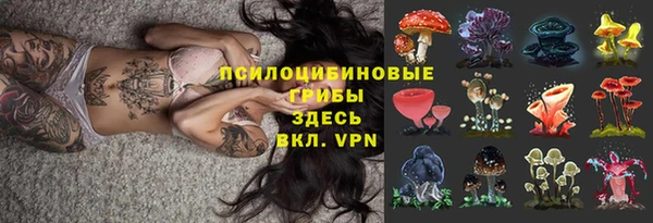 героин Алзамай